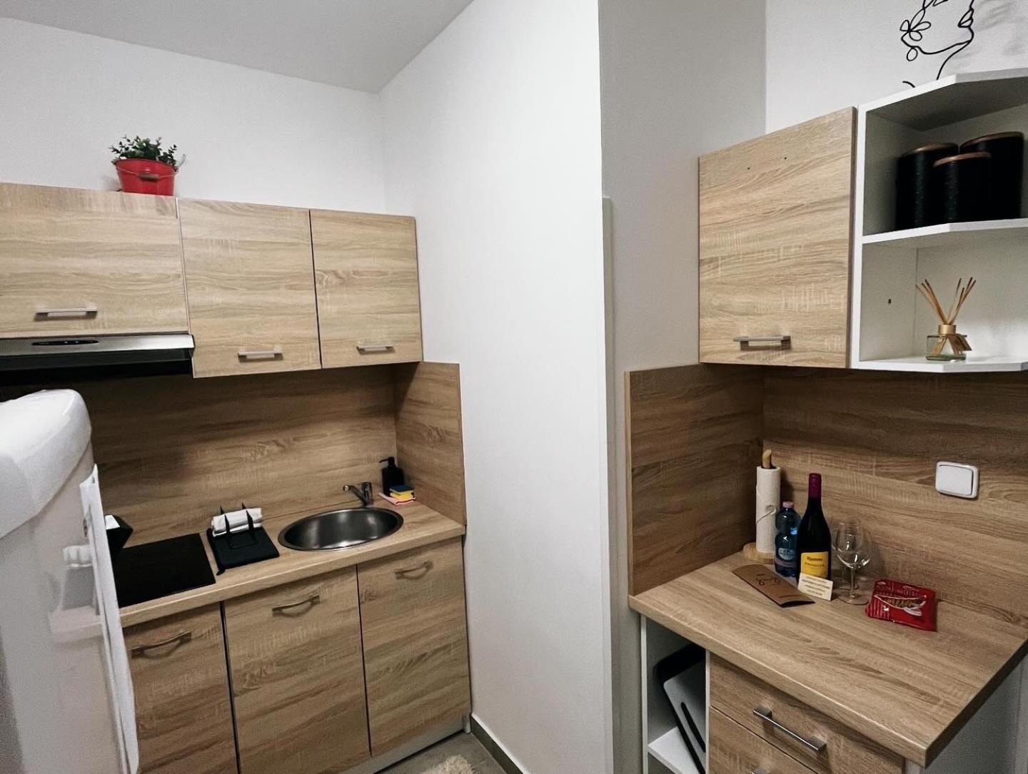 Fara No71 Apart 2 Libice nad Cidlinou Luaran gambar